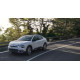 Citroen C4X