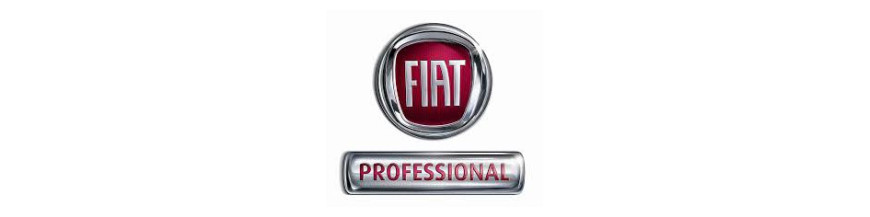 Fiat Professional